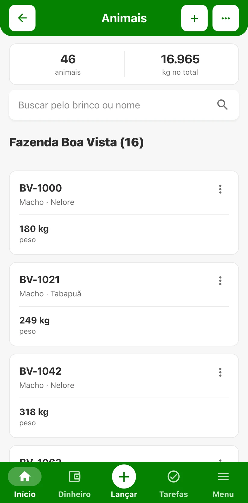 Lista de animais do FINAGRO com brinco, raça e peso